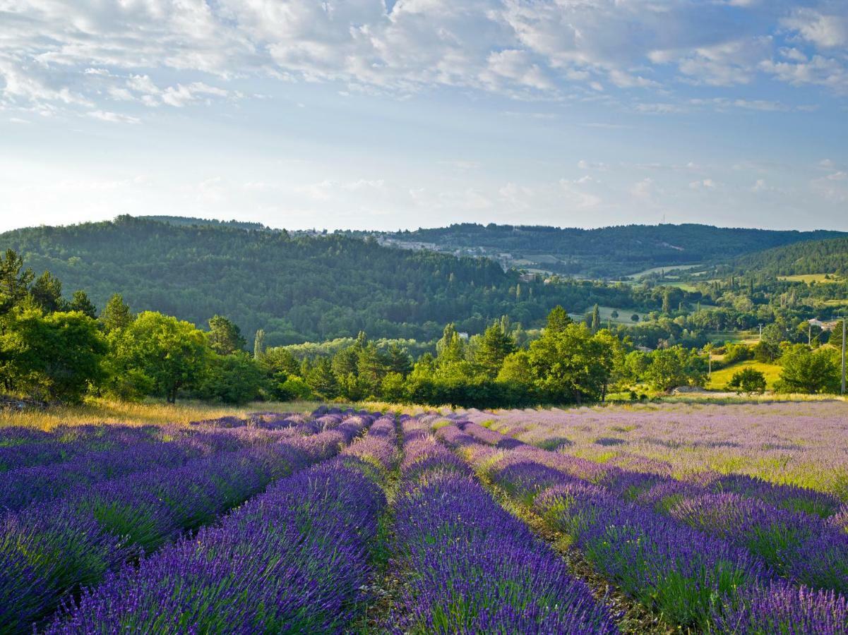 Le Jas De Verdolier Sault-de-Vaucluse Eksteriør bilde